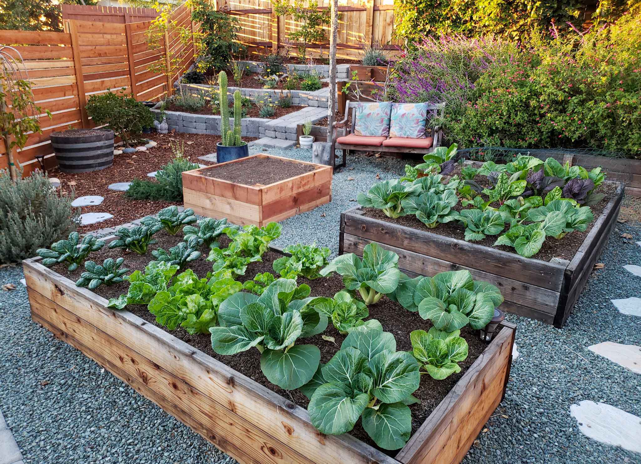Sustainable Home Gardening: A Step‑by‑Step Guide to Eco‑Friendly Growth